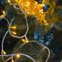 Ghirlanda Fir Transparent,...