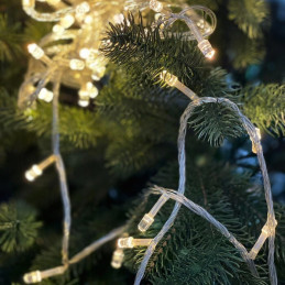 Ghirlanda Fir Transparent,...