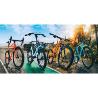 BICICLETE